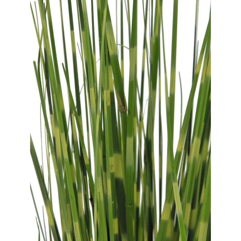 EUROPALMS seepraheinä, teko, 90cm 82505863