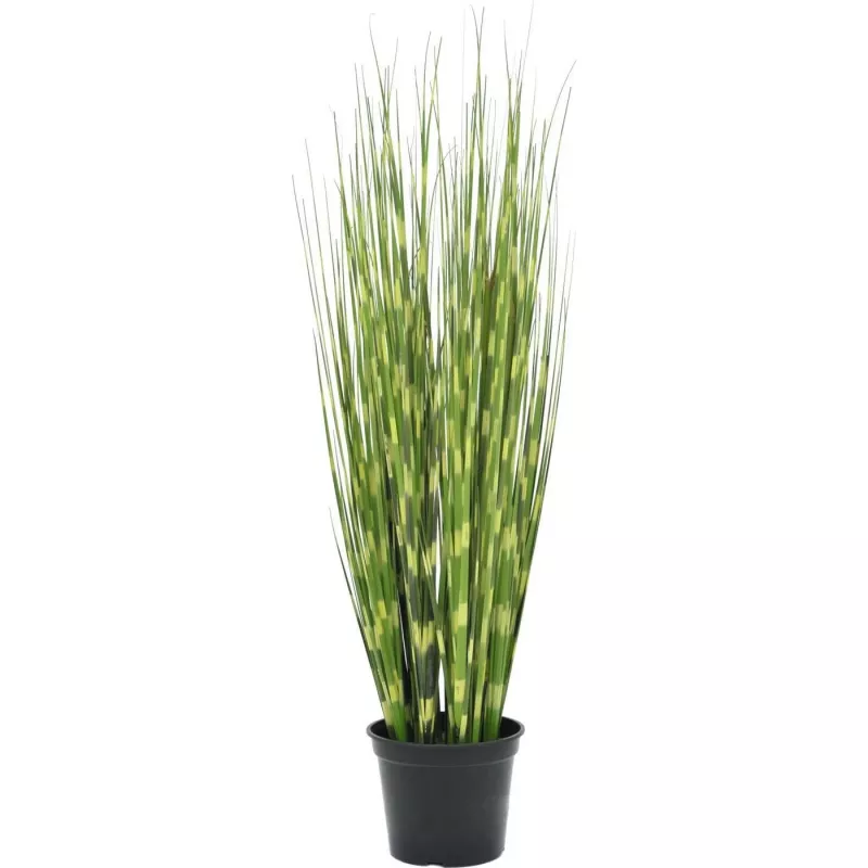 EUROPALMS seepraheinä, teko, 90cm 82505863