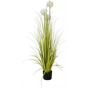 EUROPALMS Alliumgras-tekokasvi, valkoinen, 120 cm 82600169