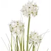 EUROPALMS Alliumgras-tekokasvi, valkoinen, 120 cm 82600169