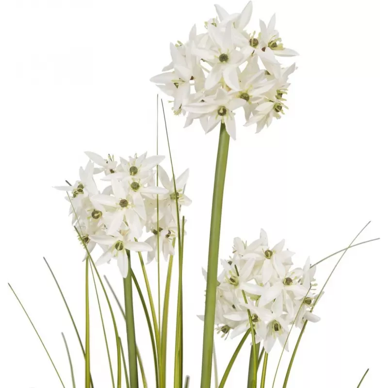 EUROPALMS Alliumgras-tekokasvi, valkoinen, 120 cm 82600169
