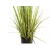 EUROPALMS ainavihreä pensas ruoholla, tekokasvi, 182 cm 82600185