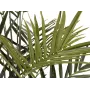 EUROPALMS Kentia-palmu tekokasvi 300cm 82511369