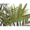 EUROPALMS Kentia-palmu tekokasvi 300cm 82511369
