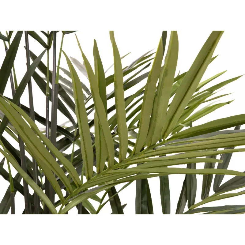 EUROPALMS Kentia-palmu tekokasvi 300cm 82511369