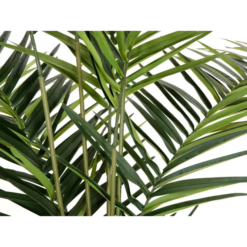 EUROPALMS Kentia-palmu tekokasvi 240 cm 82511368