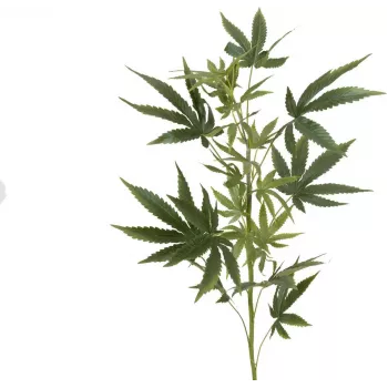 EUROPALMS tekohampunoksa, 90 cm, vihreä 82506699