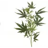 EUROPALMS tekohampunoksa, 90 cm, vihreä 82506699