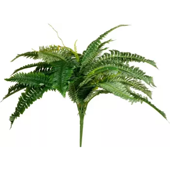 EUROPALMS Boston-saniainen tekokasvi, 53 cm, vihreä 82519934