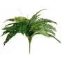 EUROPALMS Boston-saniainen tekokasvi, 53 cm, vihreä 82519934