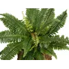 EUROPALMS Boston-saniainen tekokasvi, 53 cm, vihreä 82519934