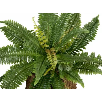 EUROPALMS Boston-saniainen tekokasvi, 53 cm, vihreä 82519934