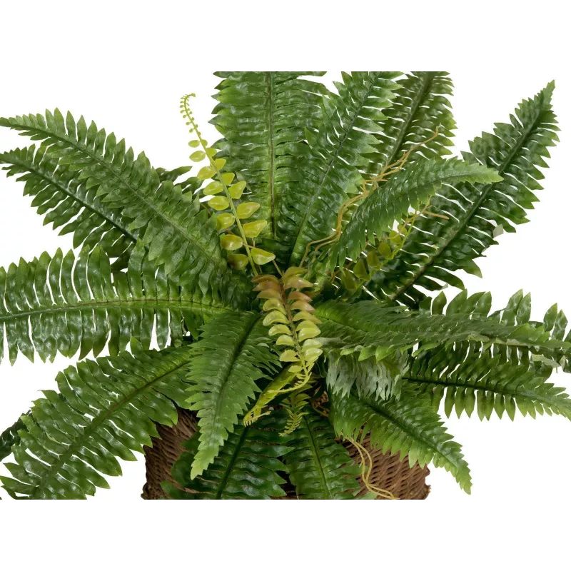 EUROPALMS Boston-saniainen tekokasvi, 53 cm, vihreä 82519934