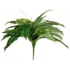 EUROPALMS Boston-saniainen tekokasvi, 53 cm, vihreä 82519934