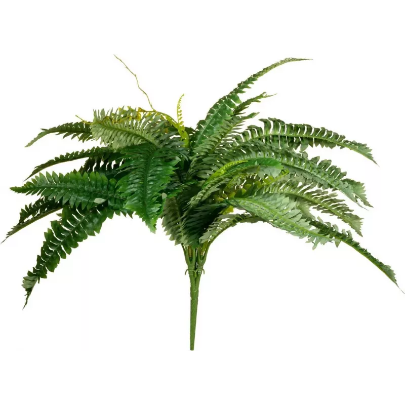 EUROPALMS Boston-saniainen tekokasvi, 53 cm, vihreä 82519934