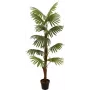 EUROPALMS viuhkopalmu tekokasvi, 155cm 82509303