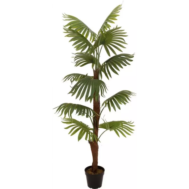 EUROPALMS viuhkopalmu tekokasvi, 155cm 82509303