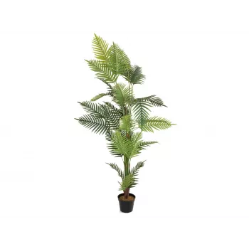 EUROPALMS arecapalmu tekokasvi 180cm 82509415
