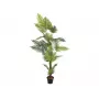 EUROPALMS arecapalmu tekokasvi 180cm 82509415