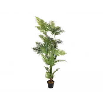 EUROPALMS arecapalmu tekokasvi 180cm 82509415