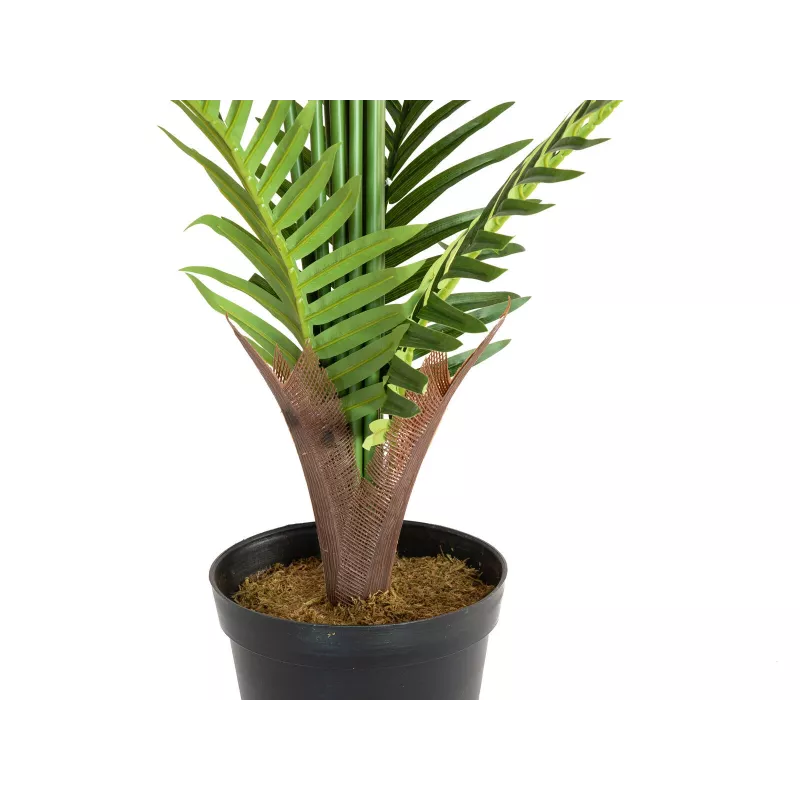 EUROPALMS arecapalmu tekokasvi 180cm 82509415