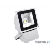 SYNERGY21 S21-LED-TOM01157 LED-ulkovalaisin 80W harmaa kotelo kylmävalkoinen V3