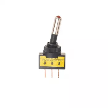 IWH keinupainike punainen 12 V 20 A (19023)