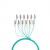 EFB Elektronik Trunk-kaapeli U-DQ ZN BH OM3 12G 1x12 LC-LC 100m Dca LSZH - 100 m O8342S100OM3