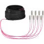 EFB Elektronik runkokaapeli U-DQ ZN BH OM4 8G 1x8 SC-SC 30m Dca LSZH O8321S30OM4