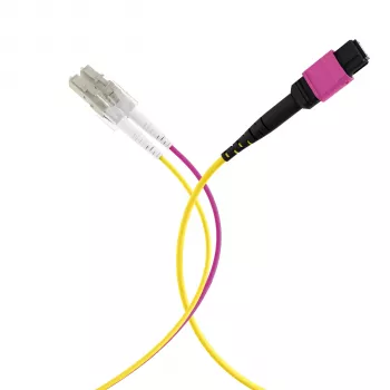 EFB Elektronik MPO-PLUS (F) - LC duplex runkokaapeli, OM4, 12 säiettä, tyyppi B, LSZH, kanerva violetti, 3 m MPOF12LCOM4-3