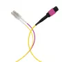 EFB Elektronik MPO-PLUS (F) - LC duplex runkokaapeli, OM4, 12 säiettä, tyyppi B, LSZH, kanerva violetti, 3 m MPOF12LCOM4-3