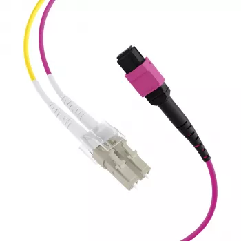 EFB Elektronik MPO-PLUS (F) - LC duplex runkokaapeli, OM4, 12 säiettä, tyyppi B, LSZH, kanerva violetti, 3 m MPOF12LCOM4-3