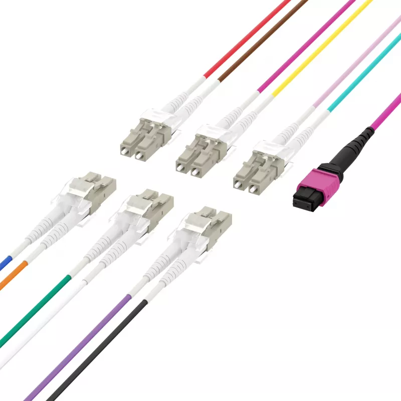 EFB Elektronik MPO-PLUS (F) - LC duplex runkokaapeli, OM4, 12 säiettä, tyyppi B, LSZH, kanerva violetti, 3 m MPOF12LCOM4-3