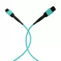 EFB Elektronik MPO-PLUS naaras - MPO-PLUS naaras OM3 12-säikeinen tyyppi B LSZH aqua patchkaapeli, 10 m MPOF12MPOFOM3-10