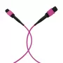 EFB Elektronik MPO-PLUS(F)-MPO-PLUS(F) OM4 12-säikeinen tyyppi B LSZH patchkaapeli, kanerva violetti, 20 m MPOF12MPOFOM4-20