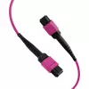 EFB Elektronik MPO-PLUS(F)-MPO-PLUS(F) OM4 12-säikeinen tyyppi B LSZH patchkaapeli, kanerva violetti, 20 m MPOF12MPOFOM4-20