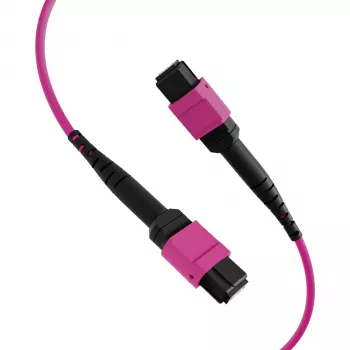 EFB Elektronik MPO-PLUS(F)-MPO-PLUS(F) OM4 12-säikeinen tyyppi B LSZH patchkaapeli, kanerva violetti, 20 m MPOF12MPOFOM4-20