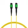EFB Elektronik MPOF12MPOFOS2-1 MPO-PLUS APC - MPO-PLUS APC OS2 singlemode 12-säikeinen patchkaapeli, polariteetti tyyppi B, LSZH keltainen, 1 m