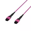 EFB Elektronik MPO-PLUS OM4 8-säikeinen Type-B LSZH -kaapeli, erika violetti, 3 m MPOF8MPOFOM4-3