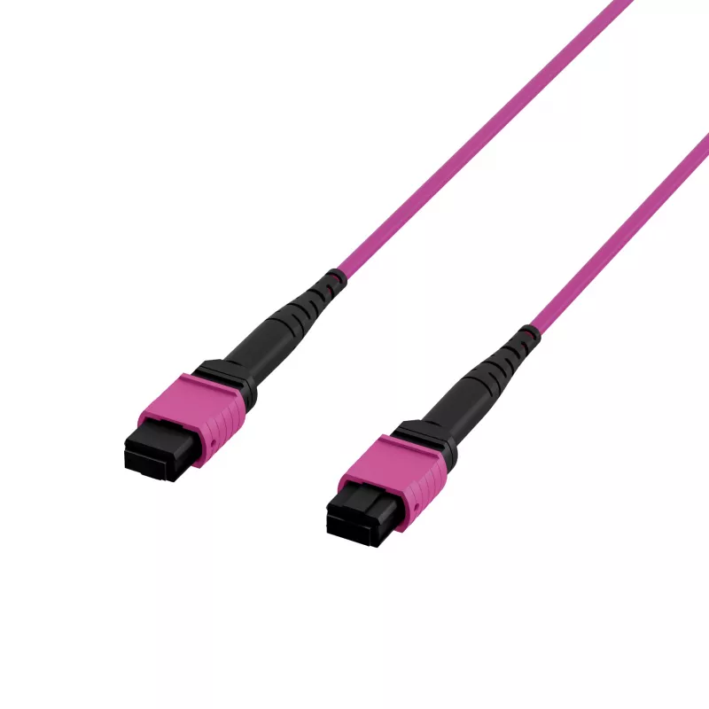 EFB Elektronik MPO-PLUS OM4 8-säikeinen Type-B LSZH -kaapeli, erika violetti, 3 m MPOF8MPOFOM4-3