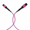 EFB Elektronik MPO-PLUS OM4 8-säikeinen Type-B LSZH -kaapeli, erika violetti, 3 m MPOF8MPOFOM4-3