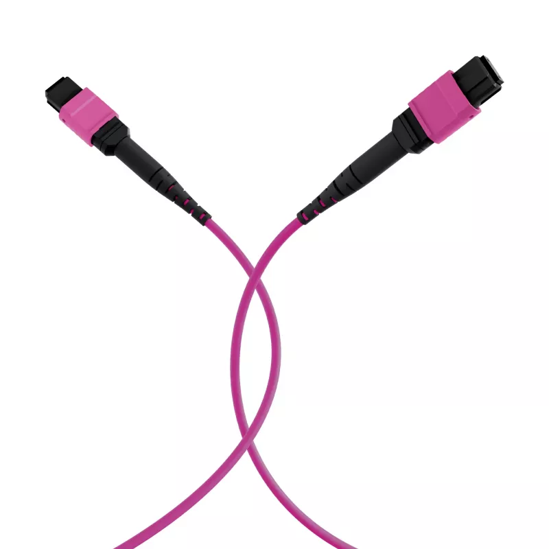 EFB Elektronik MPO-PLUS OM4 8-säikeinen Type-B LSZH -kaapeli, erika violetti, 3 m MPOF8MPOFOM4-3