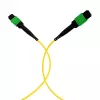 EFB MTPF48MTPFOS2-25-A OS2 yksimuoto 48-kuituinen MTP APC -patchkaapeli, 25 m, keltainen