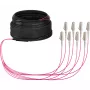 EFB Elektronik U-DQ ZN BH OM4 8G 1x8 LC-LC 10 m Dca LSZH runkokaapeli O8322S10OM4