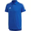 adidas Condivo 20 miesten poolopaita Team Royal Blue/White ED9237 koko S