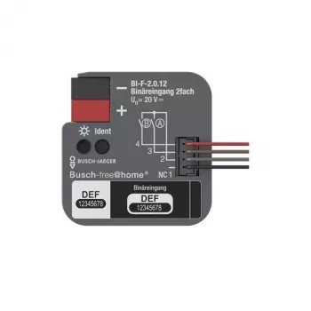 BUSCH-JAEGER KNX-binääritulo 2-kertainen uppoasennus BI-F-2.0.12 (2CDG510023R0021)