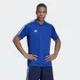 Adidas Tiro 19 harjoituspaita, lyhythihainen, polyesteri