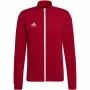 adidas Entrada 22 harjoitustakki punainen H57537 S