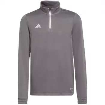 adidas Entrada 22 harjoituspaita college lapsille - harmaa, koko 164 H57549