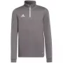 adidas Entrada 22 harjoituspaita harmaa nuoriso 128 cm H57549